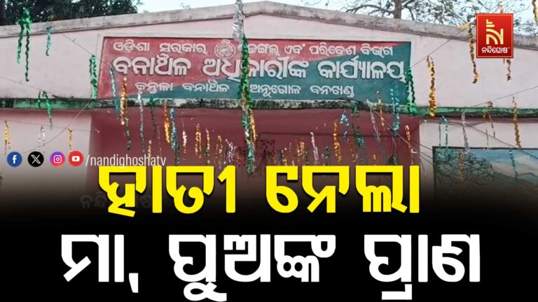 ହାତୀ ଆକ୍ରମଣରେ ମା ଓ ପୁଅ ମୃତ