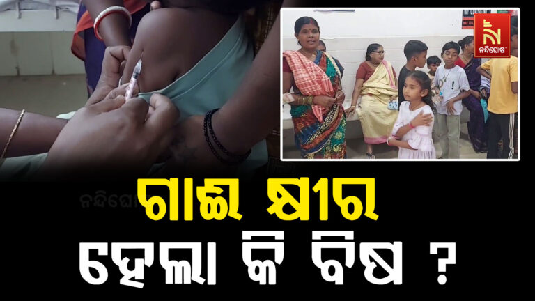  ଗାଈ କ୍ଷୀର ହେଲା କି ବିଷ ? କ୍ଷୀର ପିଇ ୫୦ରୁ ଅଧିକ ଲୋକ ଅସୁସ୍ଥ