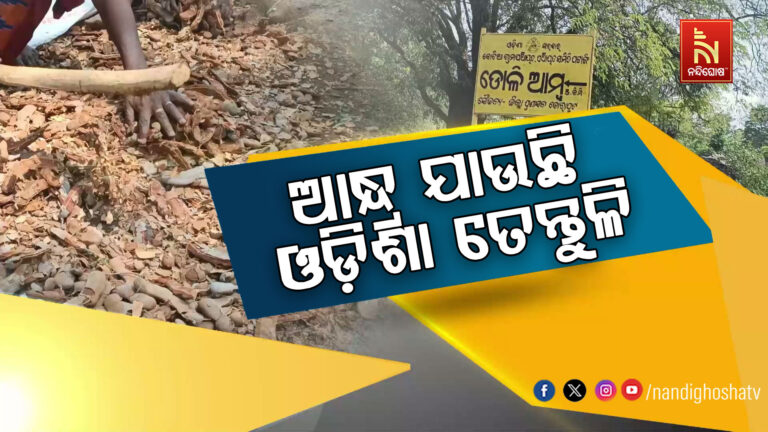 କୋରାପୁଟ କୋଟିଆରେ ତେନ୍ତୁଳି ଚାଷୀଙ୍କୁ ମିଳୁନି ଉଚିତ ପ୍ରାପ୍ୟ