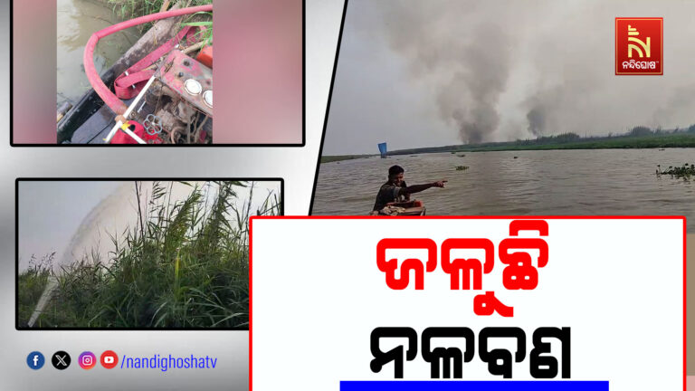 ଜଳୁଛି ଏକର ଏକର ନଳ ବଣ ; ନିଆଁ ଲିଭାଇବାରେ ଅସମର୍ଥ ଅଗ୍ନିଶମବାହିନୀ