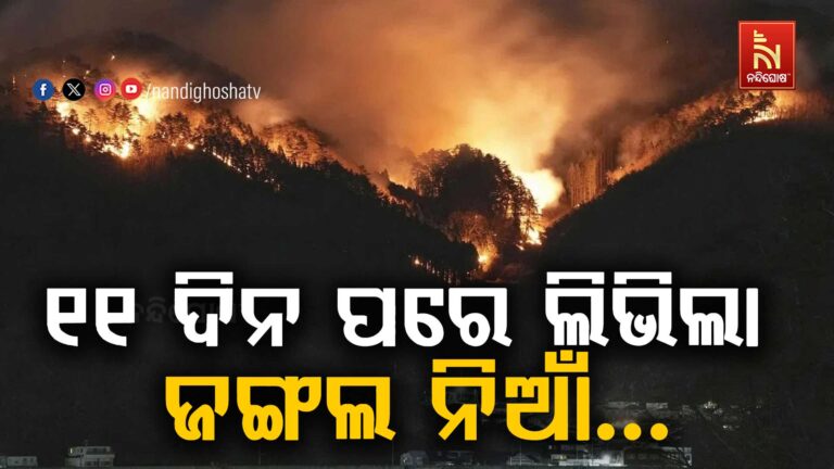 ଜାପାନରେ ୧୧ ଦିନ ପରେ ନିୟନ୍ତ୍ରଣ ହେଲା ଜଙ୍ଗଲ ନିଆଁ…
