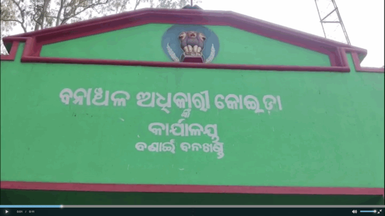 ଦନ୍ତାର ଉତ୍ପାତ: ଘର ଭାଙ୍ଗିବା ସହ ଖାଦ୍ୟ ସାମଗ୍ରୀ ନଷ୍ଟ, ବନବିଭାଗ ଉପରେ ବର୍ଷିଲେ ଗ୍ରାମବାସୀ