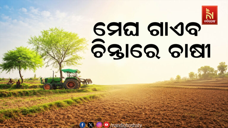 ଦୁର୍ବଳ ମୌସୁମୀ ଯୋଗୁଁ ଆକାଶରୁ ମେଘ ଗାଏବ ; କରଜ କରି ଧାନ ବୁଣିବା ପରେ ଆକାଶକୁ ଚାହିଁ ରହିଛି ଚାଷୀ
