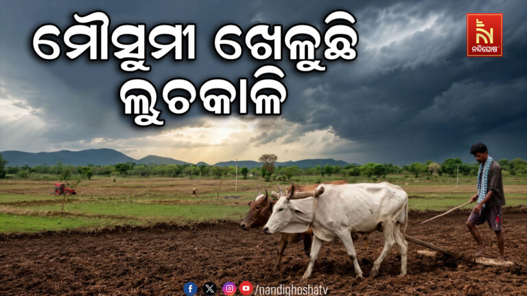 ମୌସୁମୀ ଖେଳୁଛି ଲୁଚକାଳି ; ବର୍ଷାକୁ ଚାତକ ପରି ଚାହିଁବସିଛି ଚଷାପୁଅ