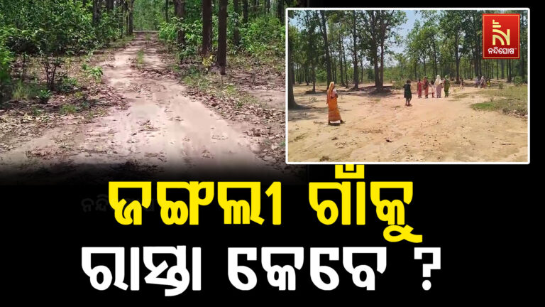 ସାହିକୁ ନାହିଁ ପକ୍କା ରାସ୍ତା : ବଣଜଙ୍ଗଲ ଘେରା ପରିବେଶ ଦେଇ ଯାଆସ କରୁଛନ୍ତି ଲୋକେ