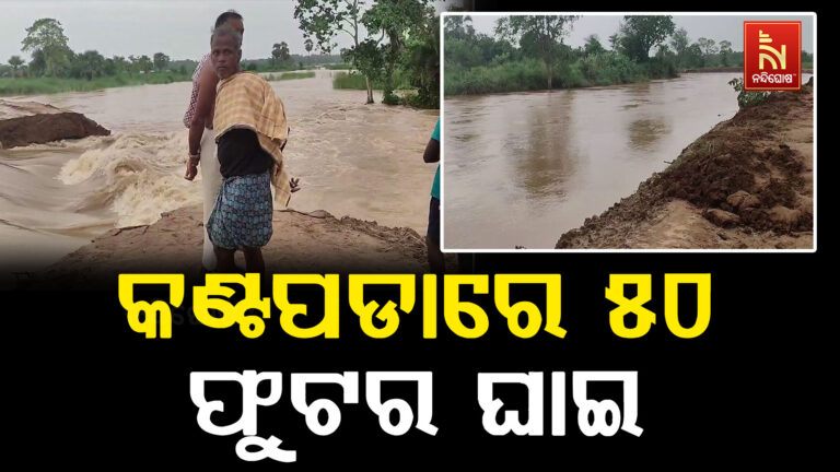 ବୈତରଣୀ ନଦୀର ଶାଖା କାଣୀ ନଦୀର କଣ୍ଟାପଡା ଠାରେ ସୃଷ୍ଟି ହୋଇଛି ୫୦ ଫୁଟର ଘାଇ ; ହଜାର ହଜାର ହେକ୍ଟର ଚାଷଜମି ଜଳମଗ୍ନ