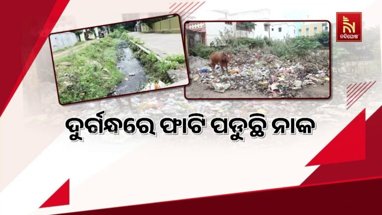 ରାସ୍ତା କଡ଼ରେ ପଡ଼ିଛି କୁଢ଼କୁଢ଼ ଆବର୍ଜନା, ଦୁର୍ଗନ୍ଧରେ ଫାଟି ପଡୁଛି ନାକ