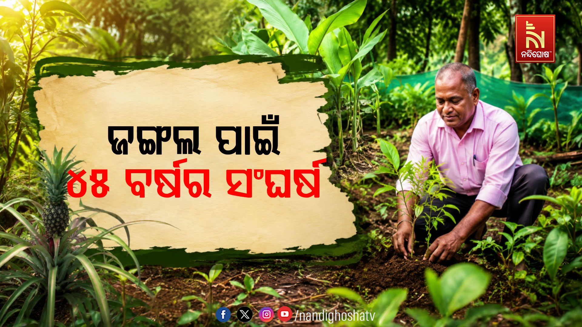 ଜଙ୍ଗଲ ପାଇଁ ୪୫ ବର୍ଷର ସଂଘର୍ଷ