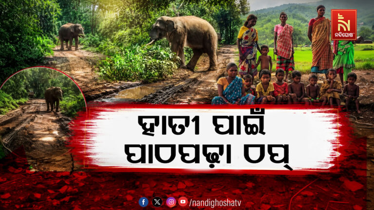 ହାତୀର ଭୟ,ଅଙ୍ଗନବାଡ଼ି ଆସୁନାହାଁନ୍ତି ପିଲା