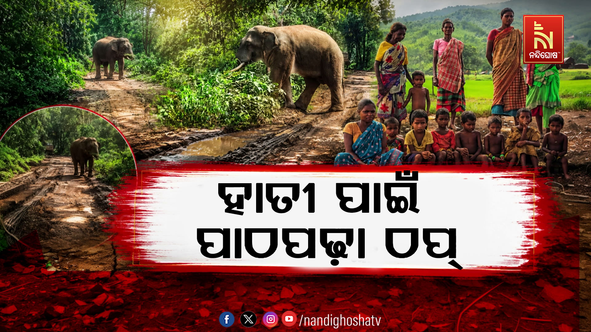 ହାତୀର ଭୟ,ଅଙ୍ଗନବାଡ଼ି ଆସୁନାହାଁନ୍ତି ପିଲା