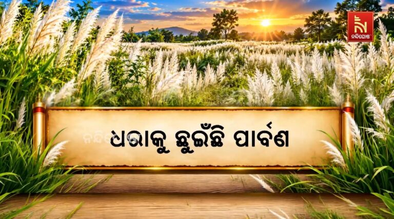 କାଶତଣ୍ଡୀ ଦେଉଛି ଆଗମନୀ ବାର୍ତ୍ତା, ଧରାକୁ ଛୁଇଁଲା ପାର୍ବଣ