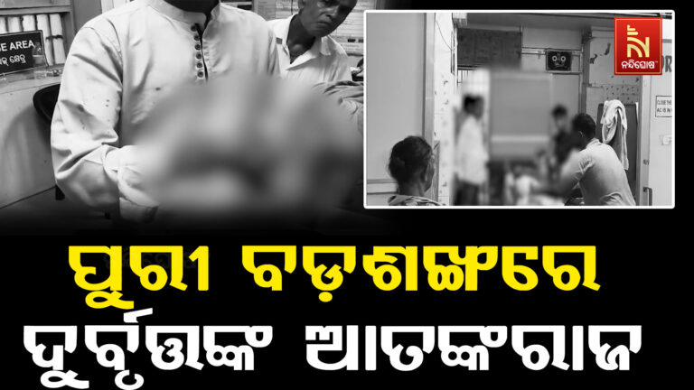ପୁରୀ ବଡ଼ଶଙ୍ଖରେ ଦୁର୍ବୃତ୍ତଙ୍କ ଆତଙ୍କରାଜ