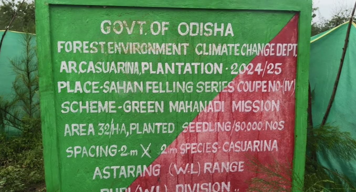 ଅସ୍ତରଙ୍ଗ ବନାଞ୍ଚଳରେ ଚାରା ରୋପଣ ନାଁରେ ଦୁର୍ନୀତି