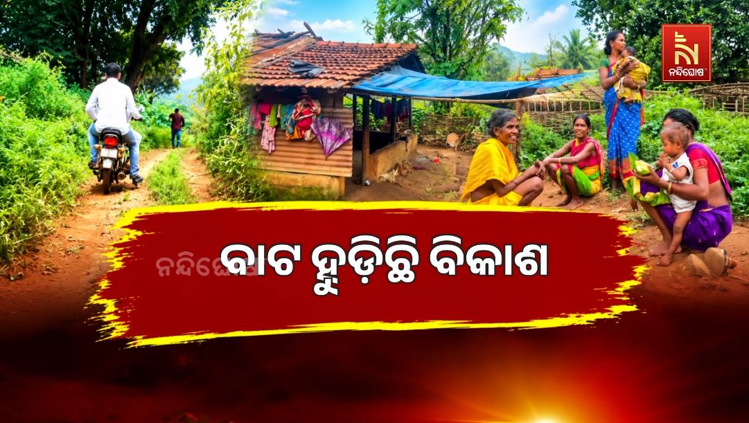 ବାଟ ହୁଡ଼ିଛି ବିକାଶ, ଆଜି ବି ମୌଳିକ ସୁବିଧାରୁ ବଞ୍ଚିତ ତୁଳସୀ ଘାଟିବାସୀ