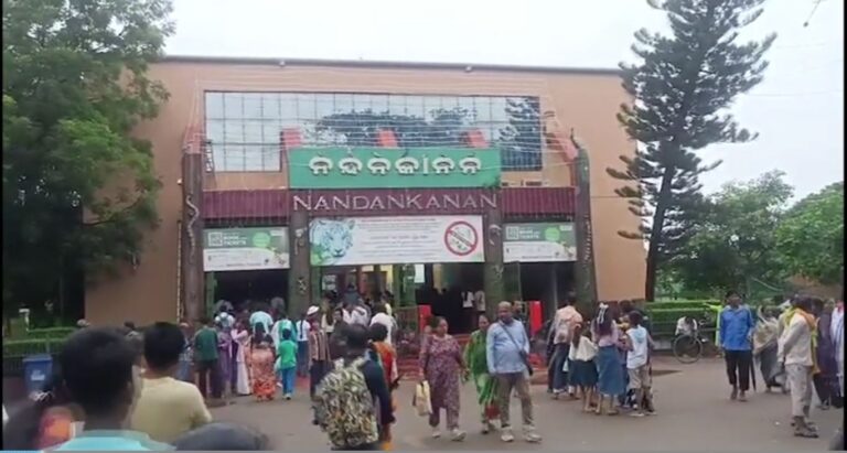 ନନ୍ଦନକାନନ ପ୍ରାଣୀ ଉଦ୍ୟାନକୁ ଆସିଲେ ନୂଆ ଅତିଥି