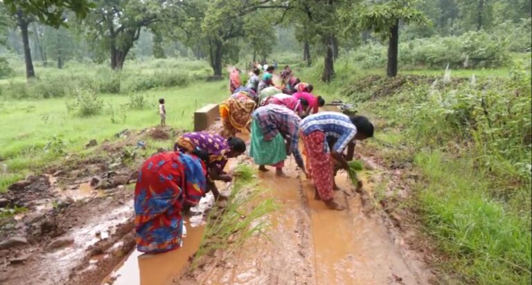 ସମ୍ବଲପୁର ଜିଲ୍ଲା ଜମନକିରା ବ୍ଲକ୍ ବଡ଼ରମା ଅଞ୍ଚଳର ଓଡ଼ିସିଂ  ଗାଁରେ ରାସ୍ତା ସମସ୍ୟା।