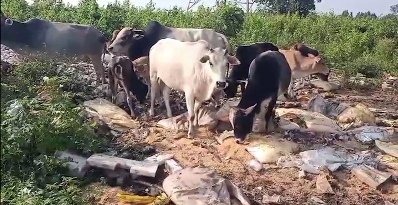 ଗରିବଙ୍କ ଚାଉଳ ଜଙ୍ଗଲରେ, ତଦନ୍ତ ଦାବି