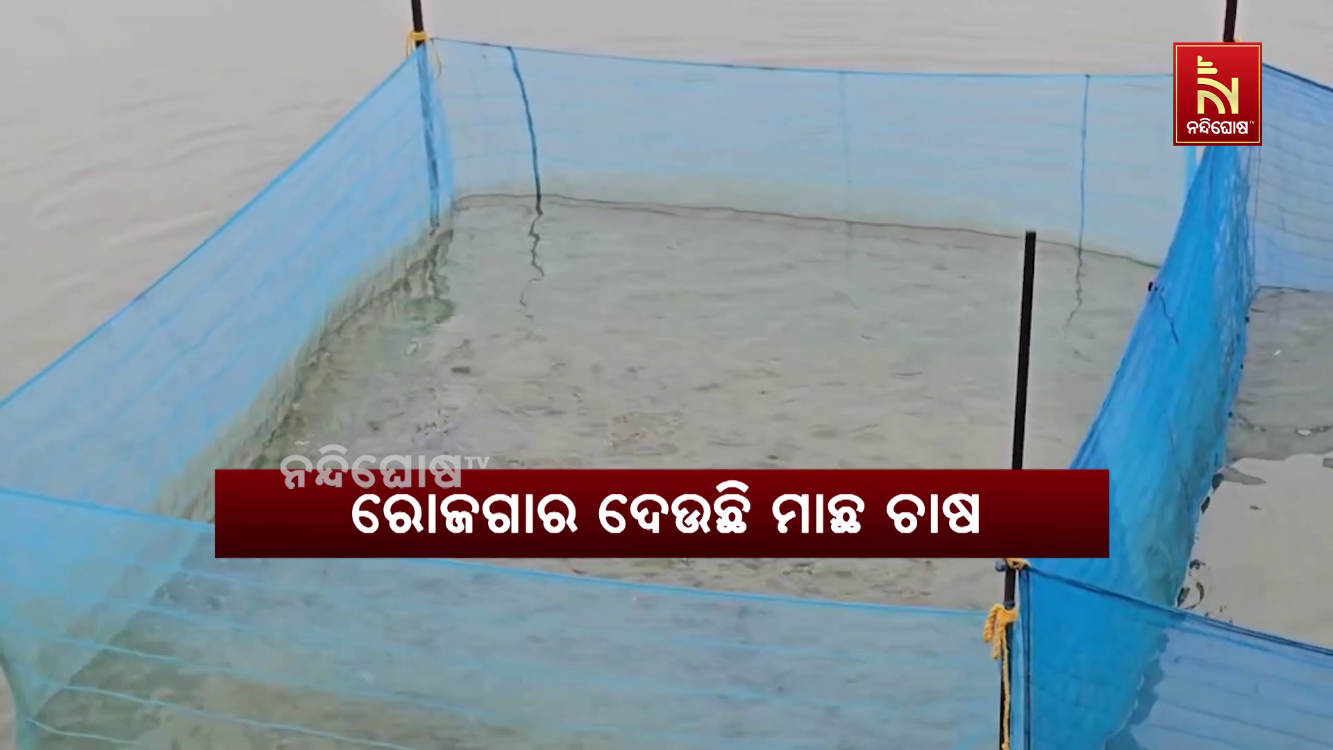 ରୋଜଗାର ଦେଉଛି ମାଛ ଚାଷ
