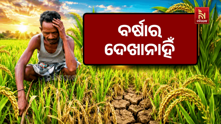 ବର୍ଷାର ଦେଖା ନାହିଁ। ଚାଷ ଜମି ଫାଟି ଆଁ କରିଛି।