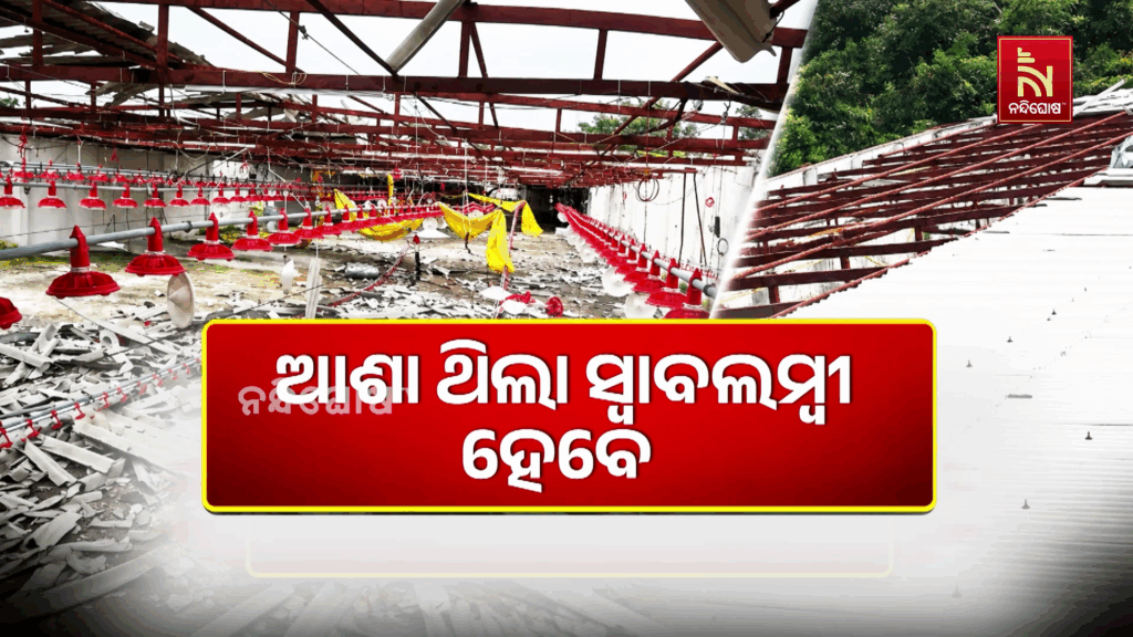 ଉଦ୍ୟୋଗୀଙ୍କ ଅଣ୍ଟା ଭାଙ୍ଗିଦେଲା ଝଡ଼ ତୋଫାନ… ଉଜୁଡ଼ିଗଲା କୁକୁଡ଼ା ଫାର୍ମ.