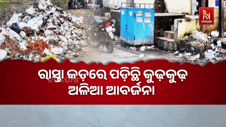 ମା’ ତାରିଣୀଙ୍କ ପୀଠରେ ଅଳିଆର ପାହାଡ଼!