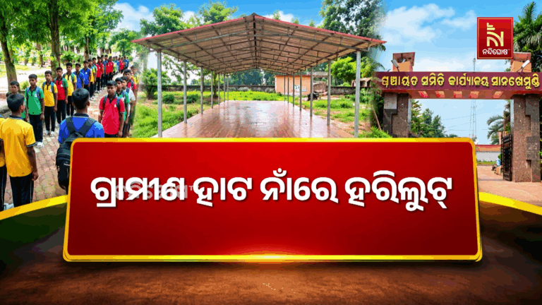 ପାଟପୁର ଉଚ୍ଚ ବିଦ୍ୟାଳୟ ଖେଳ ପଡ଼ିଆରେ ନିର୍ମାଣ ହୋଇଛି ଗ୍ରାମୀଣ ହାଟ, ସେଡ କରି ଟଙ୍କା ହଡ଼ପ…