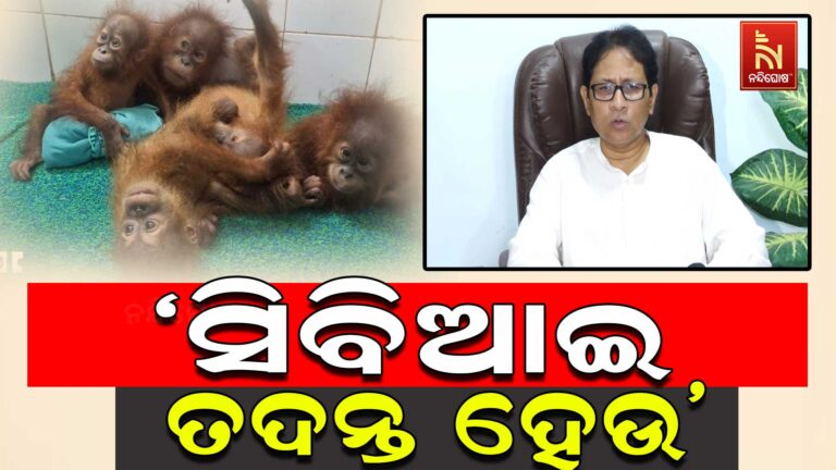 ଜଳେଶ୍ଵରରୁ ଓରାଙ୍ଗଉଟାନ ଠାବ ଘଟଣା, ତଦନ୍ତ ପ୍ରକ୍ରିୟାକୁ ନେଇ ପ୍ରଶ୍ନ ଉଠାଇଲା ବିଜେଡି