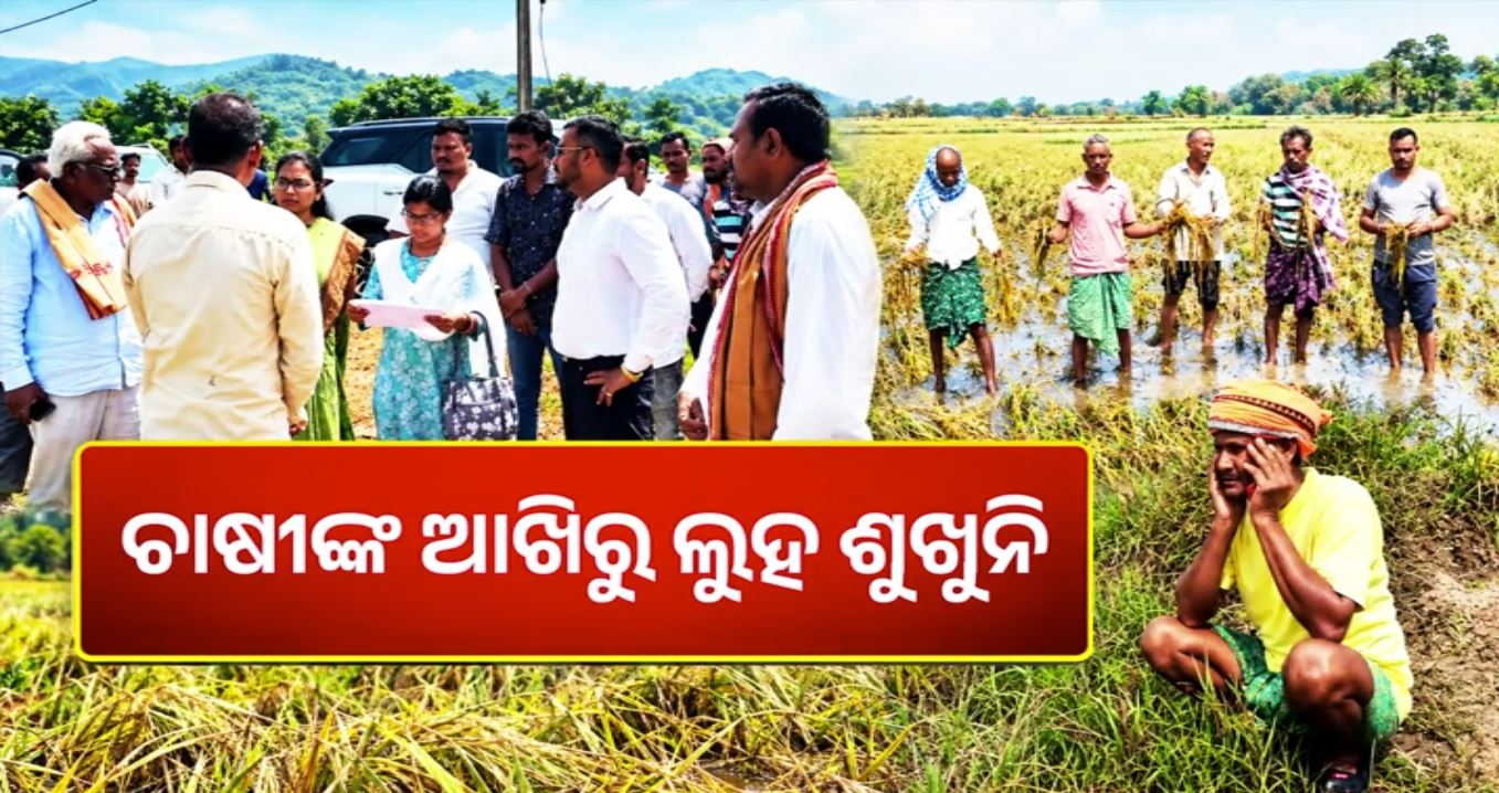 ବନ୍ୟା ଛଡ଼ାଇ ନେଲା ବର୍ଷକର ଆହାର