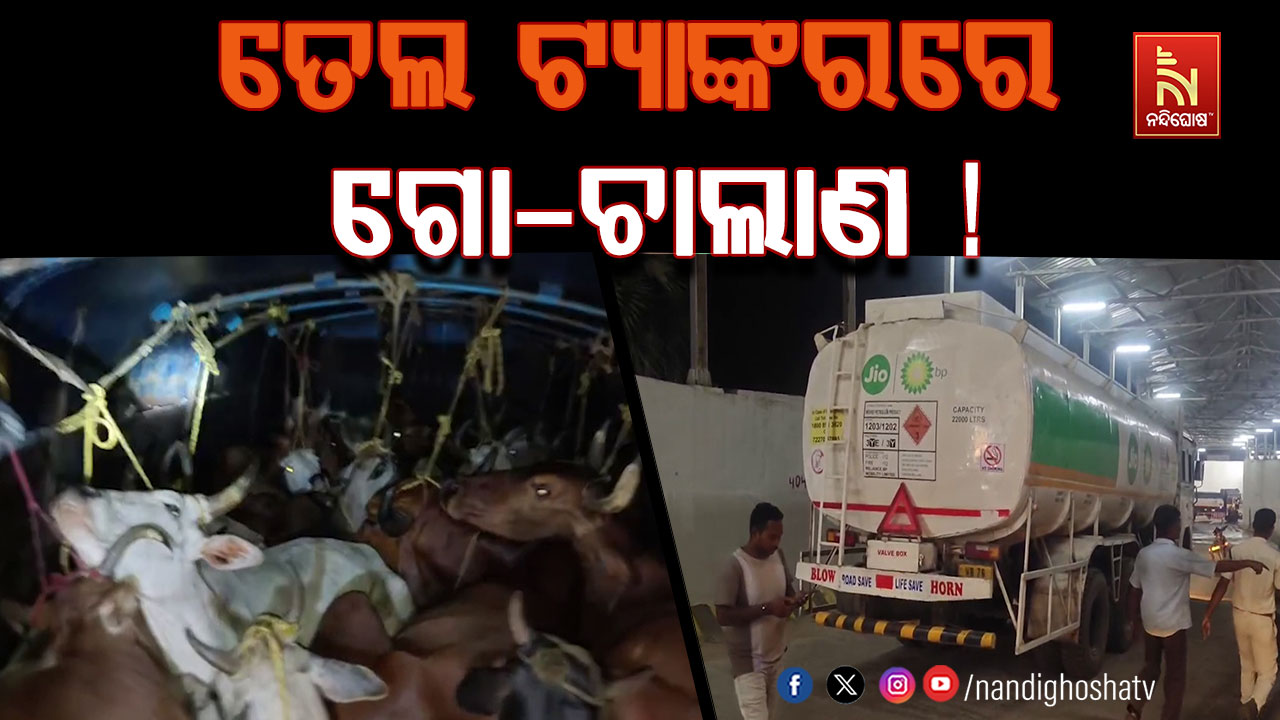 ତେଲ ଟ୍ୟାଙ୍କର ଭିତରେ ଚାଲିଥିଲା ଗୋ-ଚାଲାଣ, ଡ୍ରାଇଭର ଓ ହେଲପର ଅଟକ