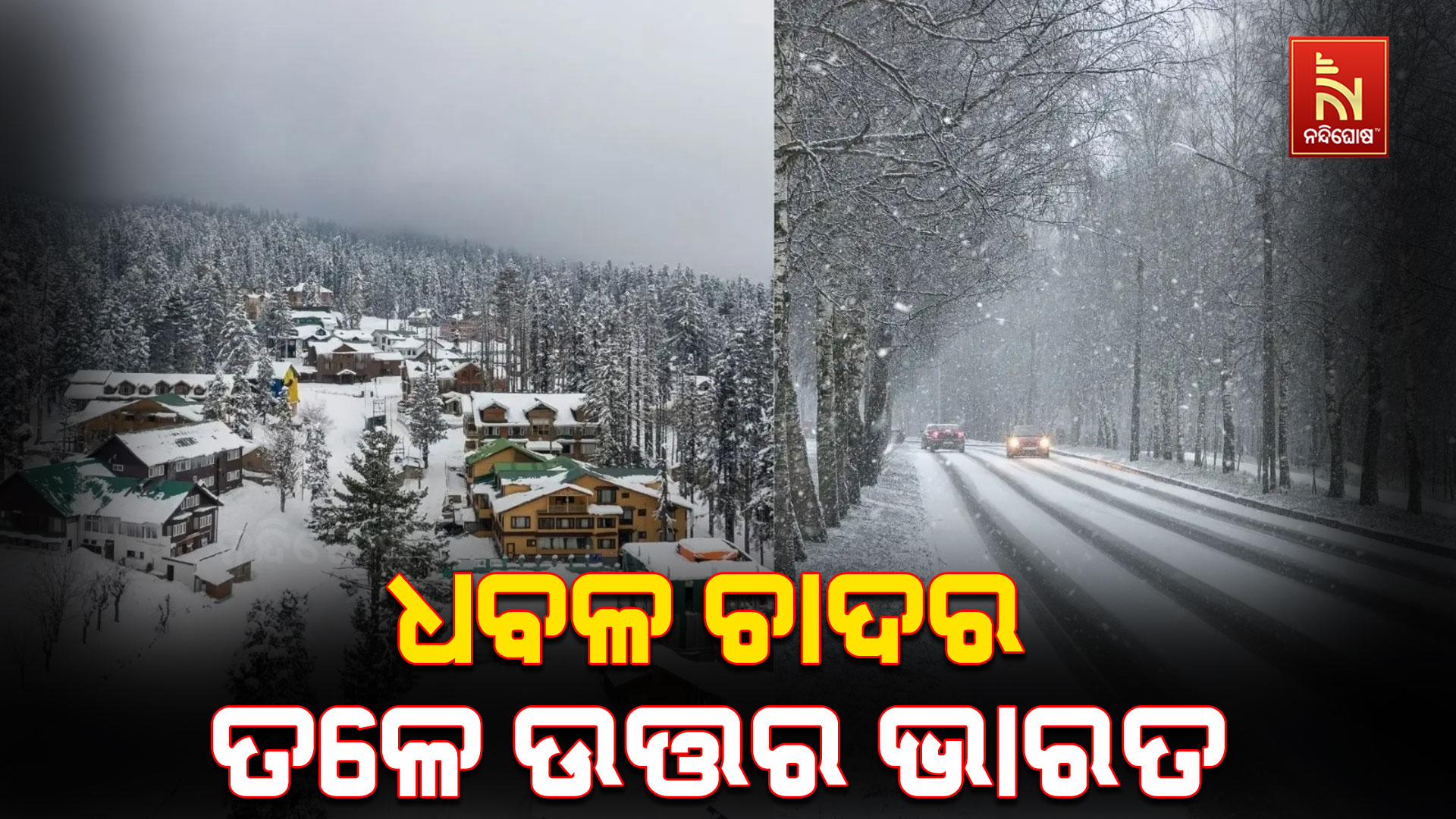 ଉତ୍ତର ଭାରତରେ ରାଜୁତି ଆରମ୍ଭ କଲାଣି ଶୀତ
