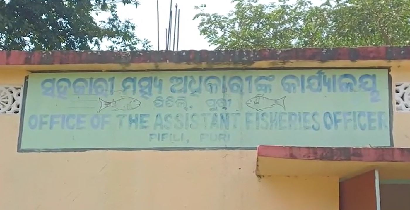 ପିପିଲିରେ ମତ୍ସ୍ୟ ଯୋଜନା ଦୁର୍ନୀତି: ପୋଖରୀ ନଥାଇ ବଣ୍ଟା ହେଉଛି ଲକ୍ଷାଧିକ ଟଙ୍କାର କାର୍ଯ୍ୟାଦେଶ
