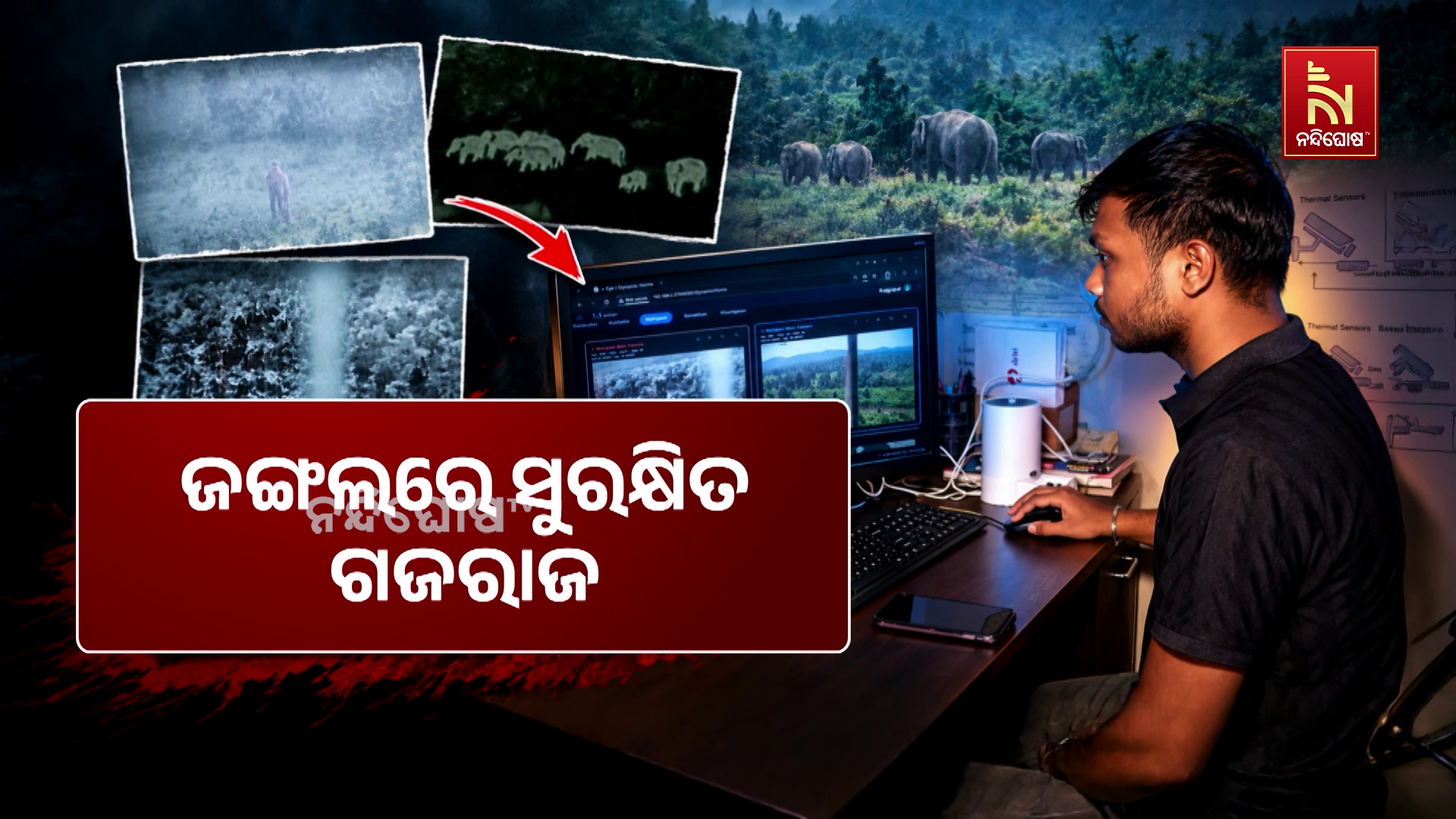ଜଙ୍ଗଲରେ ସୁରକ୍ଷିତ ଗଜରାଜ । AI କ୍ୟାମେରା ଦେଇଛି ସୁରକ୍ଷା