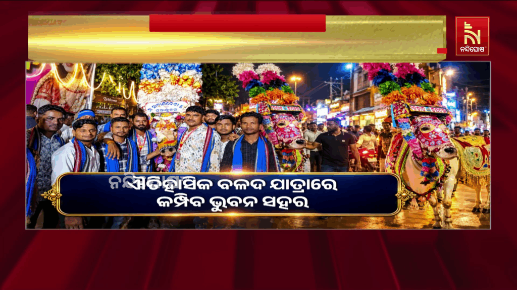 ଦଶହରାରେ ପାଲଟିବ ଆକର୍ଷଣର କେନ୍ଦ୍ରବିନ୍ଦୁ ବଳଦ ଯାତ୍ରା