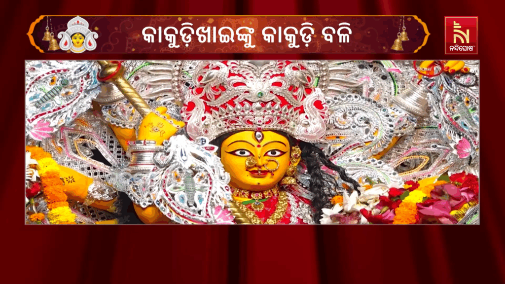 କାକୁଡ଼ିଖାଇଙ୍କୁ କାକୁଡ଼ି ବଳି