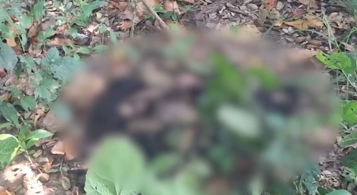 ୮ ଦିନ ପରେ ନାବାଳିକାଙ୍କ ମୃତଦେହ ଉଦ୍ଧାର!